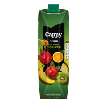 Cappy Portakal 2L