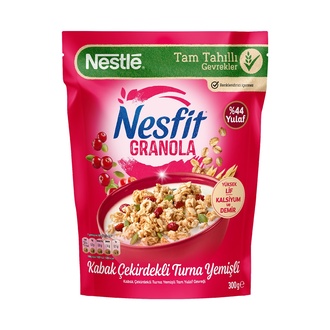 Nestlé Dondurma