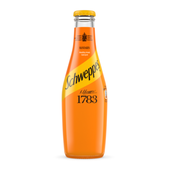 Schweppes Ginger Ale Cam